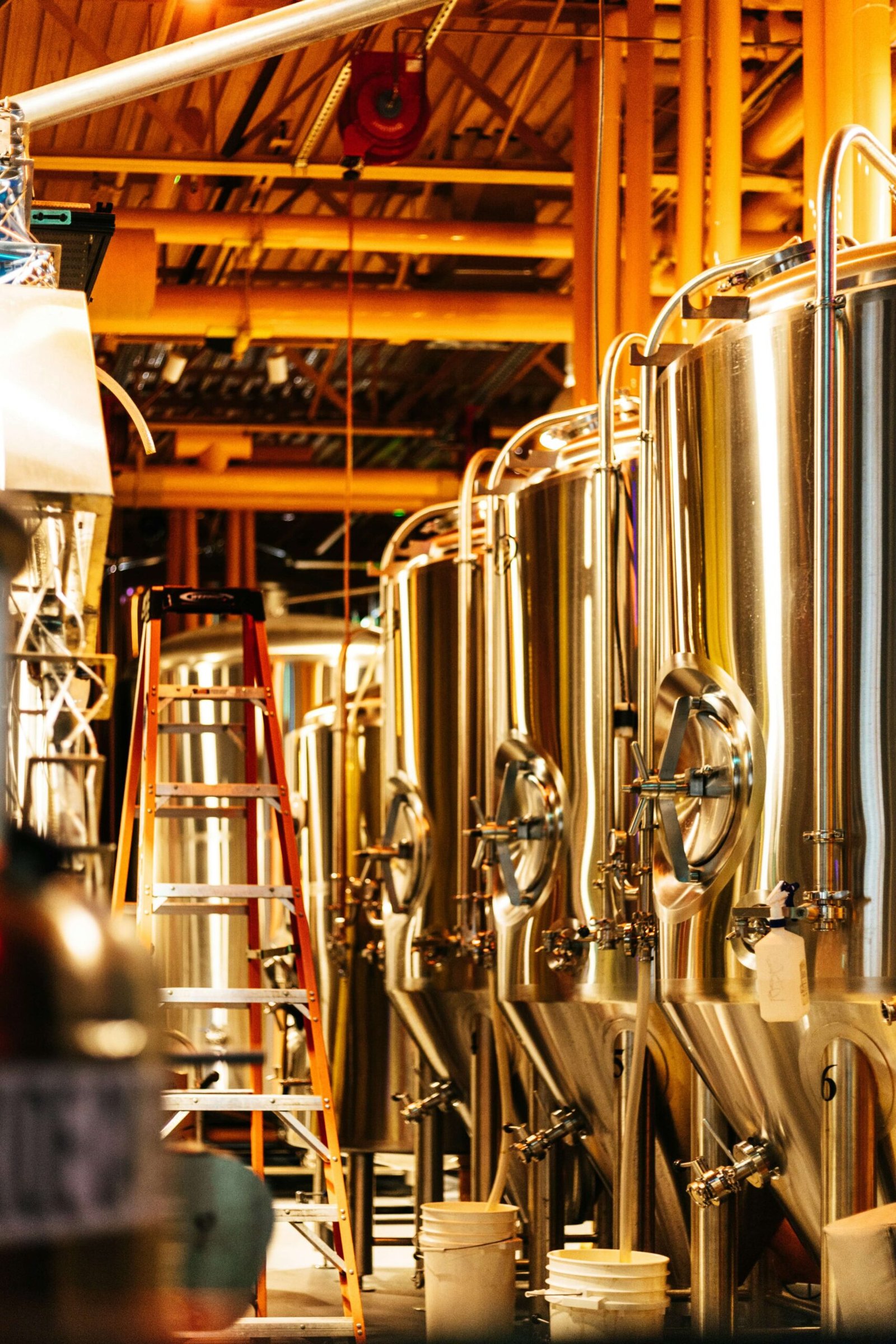 Brewing & Distilling